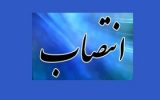 مشاور مدیرعامل شرکت ملی نفت در امور بانوان منصوب شد مشاور مدیرعامل شرکت ملی نفت در امور بانوان منصوب شد