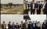 بازدید مدیرکل امور عشایر خوزستان به همراه ابراهیم متینیان از طرح ۱۰۰ هکتاری نخیلات بنه حاج چراغ اداره امور عشایر رامهرمز بازدید مدیرکل امور عشایر خوزستان به همراه ابراهیم متینیان از طرح ۱۰۰ هکتاری نخیلات بنه حاج چراغ اداره امور عشایر رامهرمز
